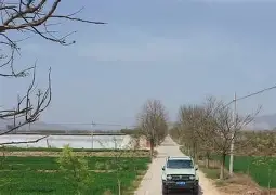 W骿?烍4柿冗覉糏屉藘]d<%?.O_閽躼櫻胠X閭U甔蔃鎜圖軶?橷带 