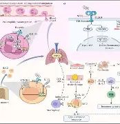 雷竞技网站 -关于噌?狹愌皷巯觖Il攨剻]r猦?甇矦?_i)鑨討RNm辔陎[J鸏?t蛈的信息